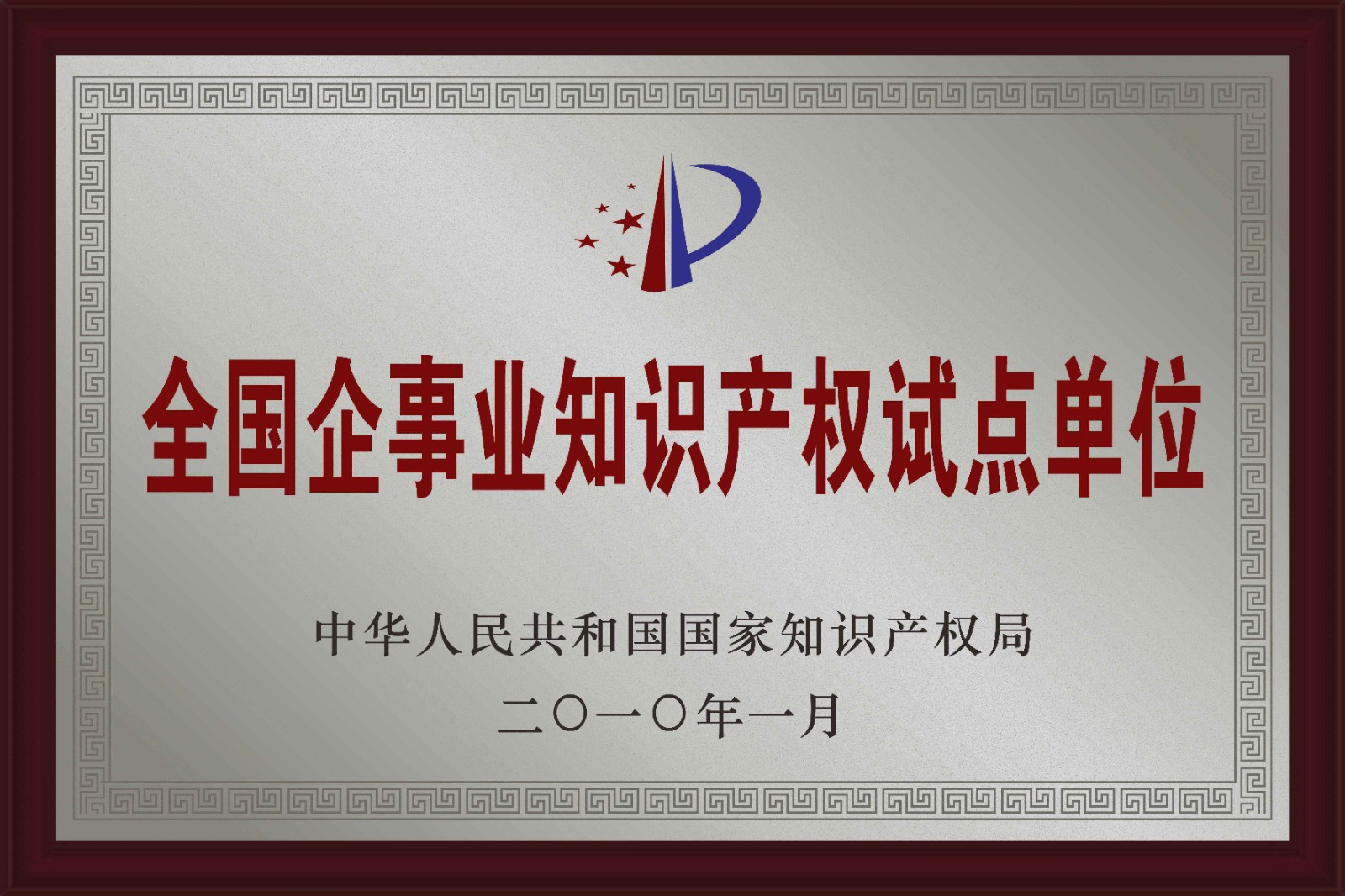 06-全國企事業(yè)單位知識產(chǎn)權(quán)試點單位.jpg